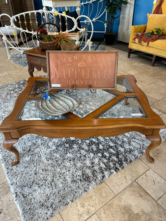 Coffee Table Glass Insert