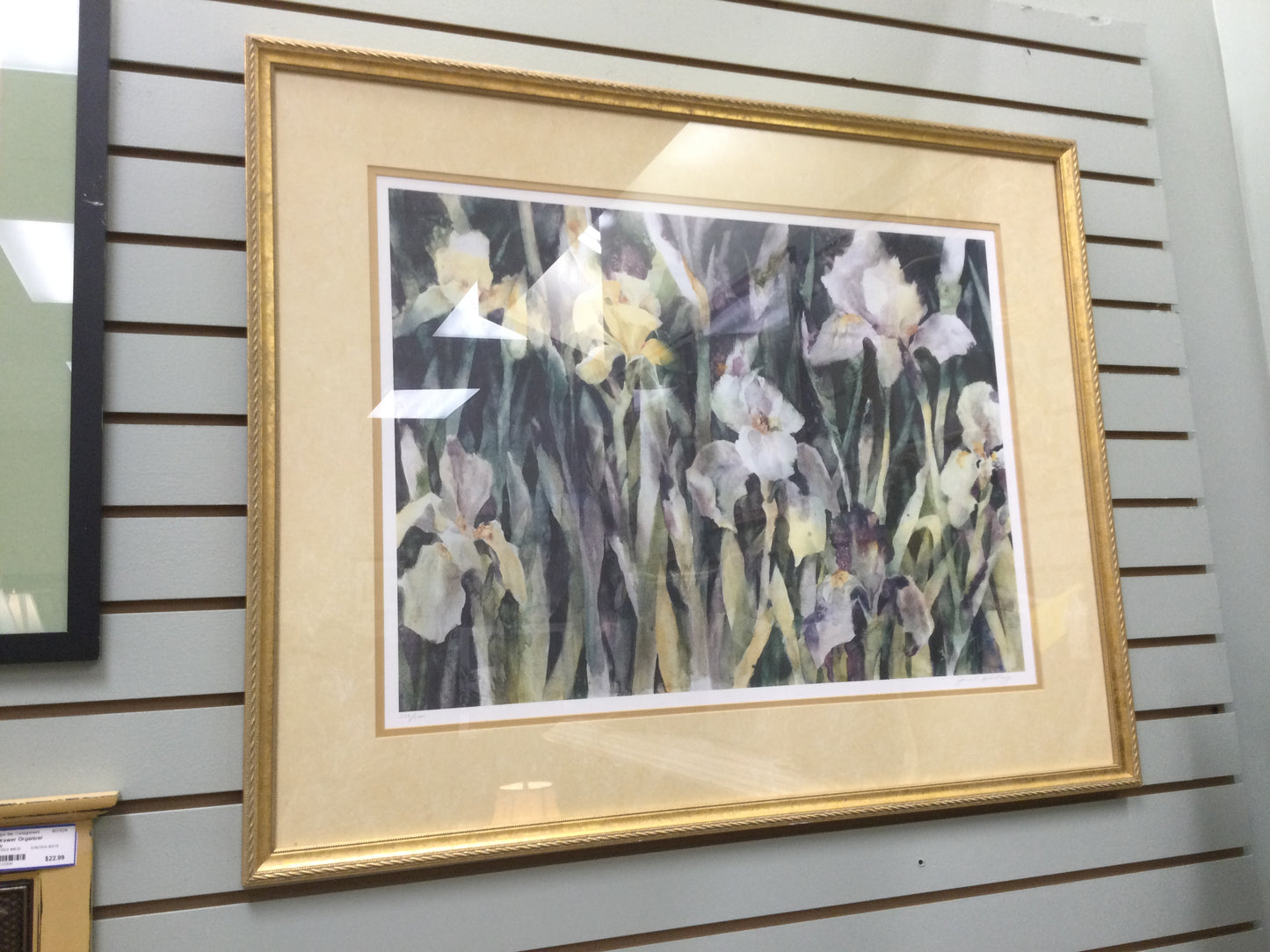 Print Irises Watercolor Signed