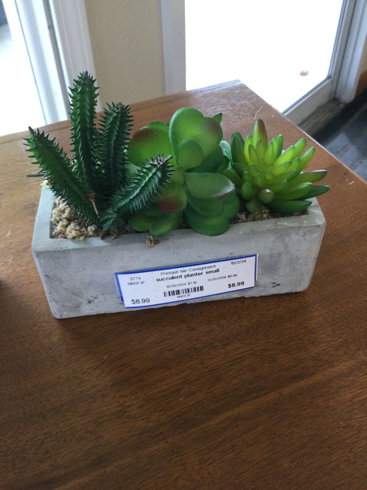 Succulent Planter Small